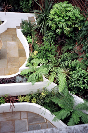 Garden Landscaping and Designs