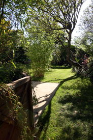 Surrey Garden Designers