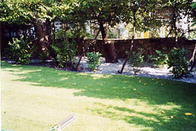 Garden Lawns Islington