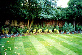 Garden Lawns Hammersmith