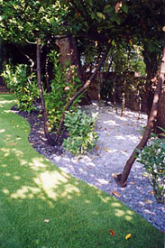 Garden Lawns Chelsea
