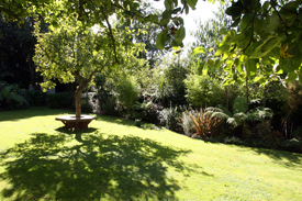 Hampstead Garden Lawns